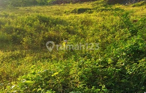 Affordable Land along the Moncongloe Maros Road Axis