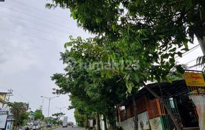 Sewa Sangat Murah !! Tanah Luas 5000m2 Lebar 50 Meter Di Ngaliyan Raya / Prof Hamka Dekat Kampus , Lokasi Sangat Strategis Di Ngaliyan Raya !!