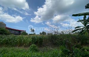 Jual Murah Tanah Di Lubuk Pakam Deli Serdang