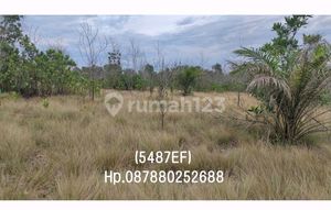 5487ef Land in Riding Panjang, Merawang, Bangka 300 m²