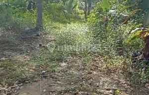 55343Nf Tanah, Girik, Dekat Akses Bandara