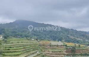 Tanah Dekat Kebun Raya Bedugul Akses Jalan Provinsi View Menawan