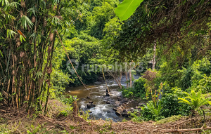 For Sale - Premium River & Jungle View Land, Lodtunduh Ubud