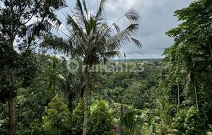 Dijual Tanah Di Utara Ubud Butuh Uang Cepat View Cantik