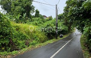 For Sale Large 743 M2 Land In Banjar Gelogor, Lodtunduh, Ubud