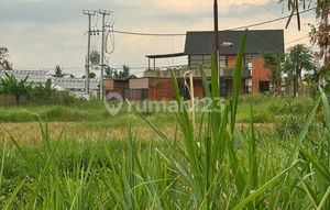 Dijual Tanah View Sawah Di Mas Ubud Gianyar Bali Akses Mobil
