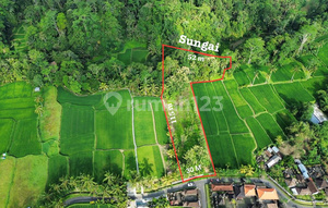 Premium Land for Sale with Rice Field & Valley View - Tegalalang Ubud