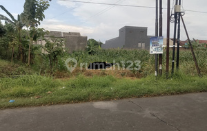 Fast Sale, Mrs. Tan's Land by the Road Kh Nasir
