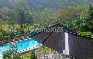 Villa with Swimming Pool and Green Area