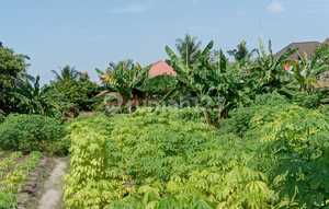 Tanah Tepi Jalan Kawasan Harapan Raya