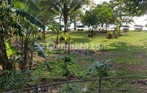 Tanah Komersial Murah 500ribu Di Jln Raya Carita