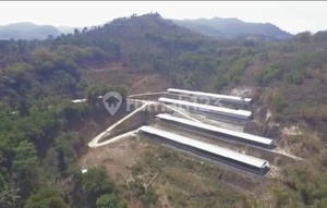 Peternakan Ayam Kandang Modern Di Garut Jawa Barat