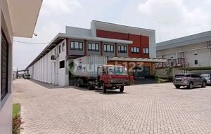 Active Branded Cooking Oil Packaging Factory in Sidoarjo, East Java