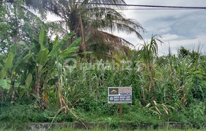 Cheap and Quick Land Lease in Surya, Pontianak City