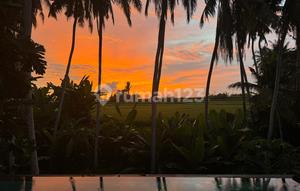 Jual Cepat! Beautiful Villa With River, Ricefield, And Sunset View In Pantai Purnama, Sukawati, Gianyar