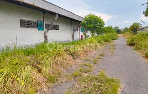 2005 Auction Sale Ex Factory Raya Randupitu Gunungsindur Beji Pasuruan