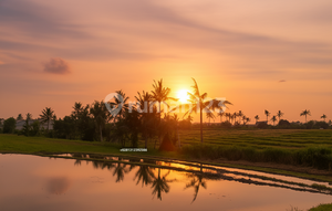 CHEAP AMAZING SUNSET AND PADDIES 900 sqm LAND BEACHSIDE PERERENAN