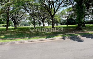 VERY RARE! BLUE LAKE MAIN SILK - ALAM SUTERA