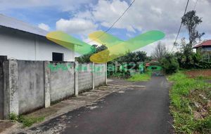 DIJUAL CEPAT TANAH CANTIK DAN MENARIK DAERAH TOMOHON, HARGA SANGAT MURAH