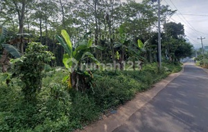 Industrial land allocation in Batang Regency, Central Java, near the toll road.