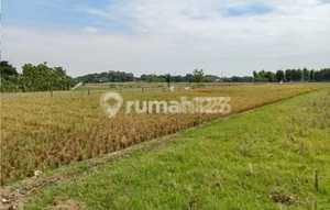 Tanah Disubang Pinggir Jln Raya Cibogo. LT 300 Ha. Hrg 500 Rb/ M