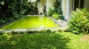 Gambar 3 Classics Style..nice Garden Big Pool...quiet... Close To Sudirman