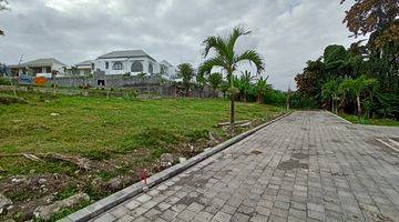 Gambar 5 Freehold Premium Ricefield Land Available In Canggu 