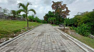 Gambar 2 Freehold Premium Ricefield Land Available In Canggu 