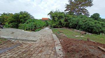 Gambar 4 Freehold Premium Ricefield Land Available In Canggu 