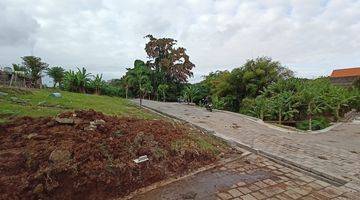 Gambar 3 Freehold Premium Ricefield Land Available In Canggu 