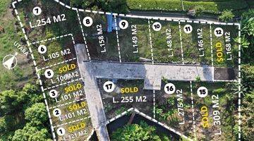 Gambar 1 Freehold Premium Ricefield Land Available In Canggu 