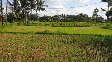 Gambar 2 PASTI CLOSING DI JUAL TANAH LOKASI PEJENG UBUD GIANYAR