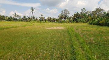 Gambar 5 PASTI CLOSING DI JUAL TANAH LOKASI PEJENG UBUD GIANYAR