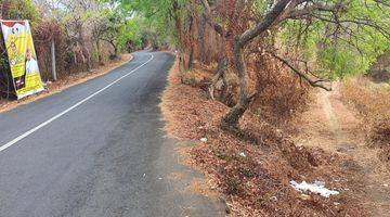 Gambar 2 PASTI CLOSING DI JUAL TANAH VIEW LAUT LOKASI CEMPAGA TEMUKUS BULELENG