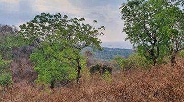 Gambar 3 PASTI CLOSING DI JUAL TANAH VIEW LAUT LOKASI CEMPAGA TEMUKUS BULELENG