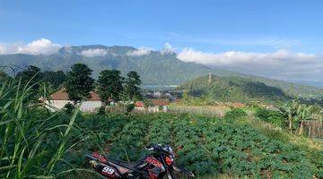 Gambar 5 PASTI DEAL  DI JUAL TANAH VIEW DANAU LOKASI CANDI KUNING BEDUGUL BATURITI TABANAN