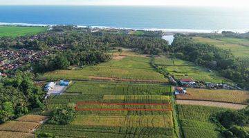 Gambar 2 Dijual Tanah Kavling 20,8 are SHM Di Pasut Tabanan