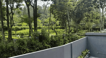 Gambar 2 Ruko Tempat Usaha Mainroad Di Jalan Propinsi Ciwidey Bandung