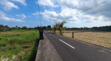 Gambar 5 Free Biaya Rumah Murah View Sawah di Gubug, Tabanan Unit Terbatas