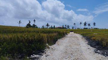 Gambar 2 Tanah Murah Pererenan 5menit ke pantai lima   SHM