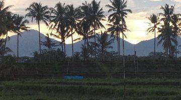 Gambar 1 Murah Dikawasannya, Lokasi Tanah Exclusive Di Kawasan Ubud Tegalalang