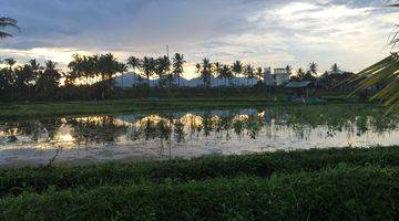 Gambar 2 Murah Dikawasannya, Lokasi Tanah Exclusive Di Kawasan Ubud Tegalalang