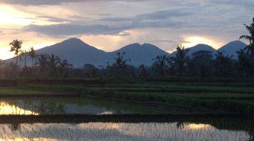 Gambar 4 Murah Dikawasannya, Lokasi Tanah Exclusive Di Kawasan Ubud Tegalalang