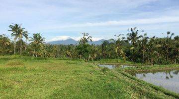 Gambar 5 Murah Dikawasannya, Lokasi Tanah Exclusive Di Kawasan Ubud Tegalalang