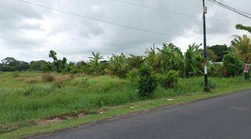 Gambar 1 Available Land Main Road For Leasehold Kedungu, Belalang, Kediri