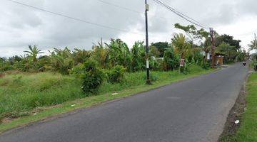 Gambar 2 Available Land Main Road For Leasehold Kedungu, Belalang, Kediri