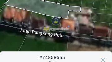 Gambar 3 Dijual Cepat lokasi Tanah Dikawasan Premium canggu - Jl. Raya Padonan