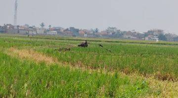 Gambar 1 Di Jual Lahan Tanah Kosong , Kec. Soreang , Kab. Bandung