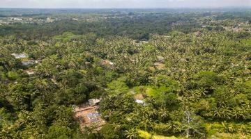 Gambar 5 Murahh Jarang Ada Sebidang Tanah Di Kelusa Payangan Dekat Ke Ubud