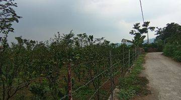 Gambar 2 Termurah Dikelasnya Tanah Kebun Siap Bangun Di Dieng Atas Malang 